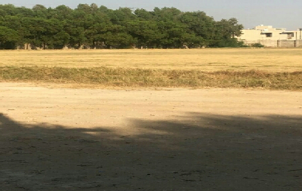 جناب بهروزیان نگذارید زمین چمن شاهین هم نابود شود!