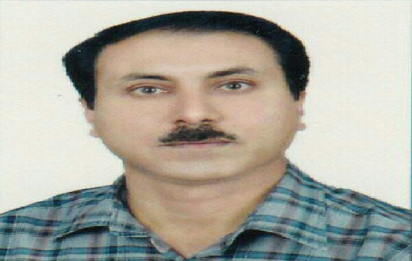 لمپنیسم در فضای مجازی