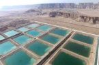 فریادرس پرورش دهندگان میگو استان بوشهر کیست؟!!!