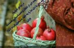 حرفهای عادی روزانه