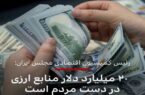 رئیس کمیسیون اقتصادی مجلس می‌گوید که ۲۰ میلیارد دلار از منابع ارزی ایران در دست مردم است!