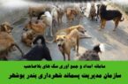 سامانه تلفنی ویژه امداد و زنده‎گیری سگ‌‎های بلاصاحب در بوشهر آغاز بکار کرد