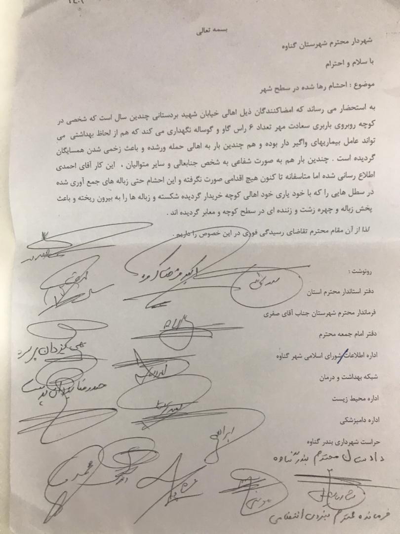 درخواست برخی از شهروندان از مسئولان؛احشام را در سطح شهر جمع آوری کنید / جان شهروندان گناوه ای در خطر است