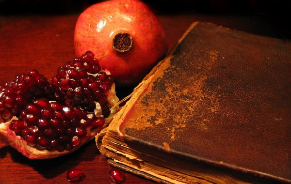 صحبتِ حُکام ظلمت شبِ یلداست نور زِ خورشید جوی/خواه بو‌ که برآید