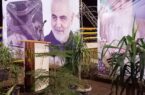 تقاطع غیر همسطح شهید سردار سلیمانی بوشهر افتتاح شد