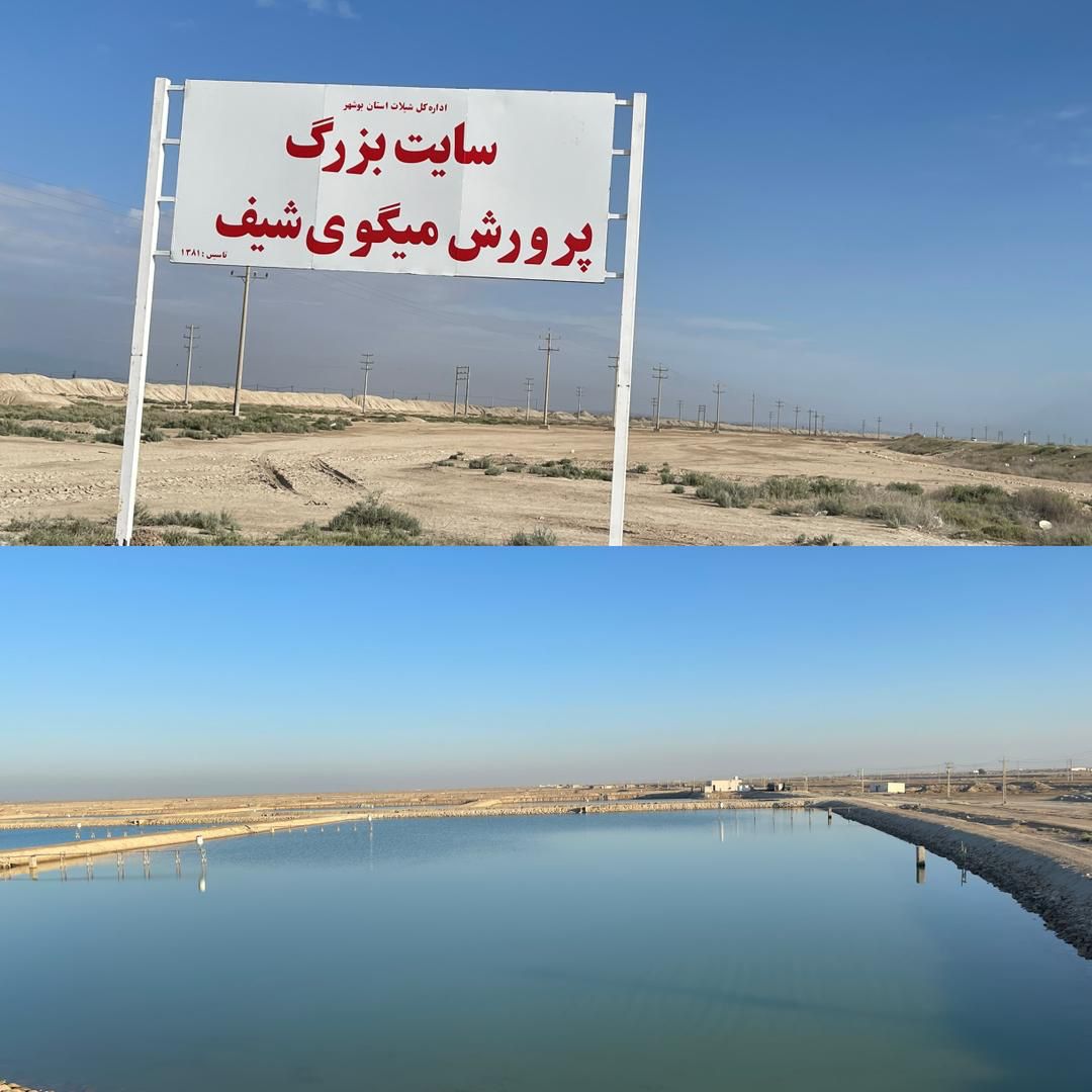 وضعیت نابسامان برقراری تماس با موبایل در سایت بزرگ پرورش میگو شیف !!!
