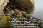 تصمیم عجیب دولت در تخصیص ارز به واردات دانه قناری!/ کد تعرفه ۱۰۰۸۳۰۰۰ با استفاده از ارز حاصل از صادرات در سامانه جامع تجارت فعال شد