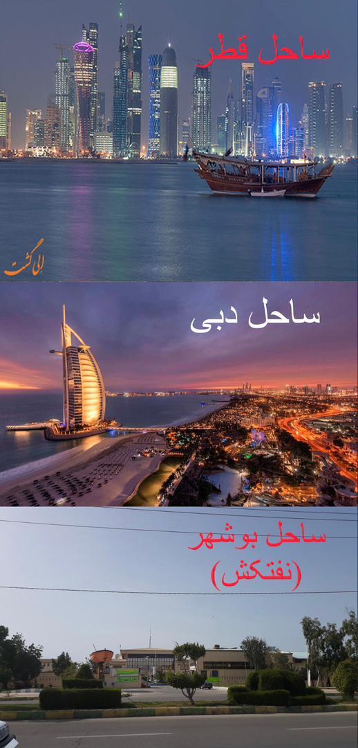 *بوشهر در حسرت تنهایی*