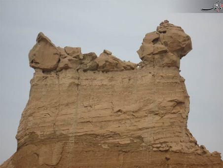“گاهی “ تنگستان روستای شعر و ادبیات