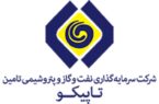 «عبدالکریم پهلوانی» به عنوان مدیرعامل تاپیکو منصوب شد