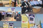 عملیات اجرایی چهار نیروگاه خورشیدی در شهرستان دیلم آغاز شد
