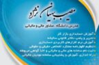 مصیب بهیان‌نژاد مدرس دانشگاه | مشاور مالی و مالیاتی