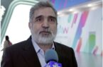 کمالوندی /ایران و روسیه درباره ساخت نیروگاههای بزرگتر از بوشهر مذاکره کردند کمالوندی /ایران و روسیه درباره ساخت نیروگاههای بزرگتر از بوشهر مذاکره کردند