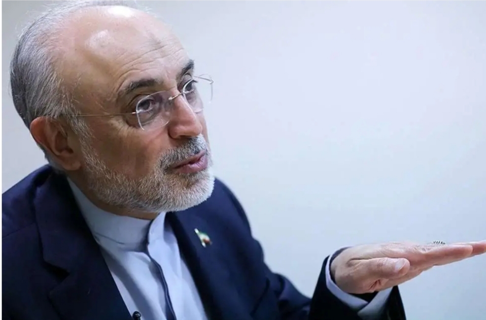 علی اکبر صالحی /رویکرد فعلی سیاست خارجی، خطر انزوای استراتژیک ایران را در پی دارد