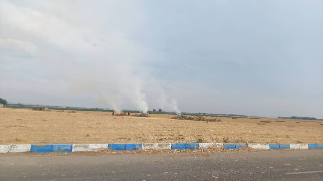 آتش زدن زمینهای کشاورزی؛ تهدیدی جدی برای سلامت مردم و محیط زیست