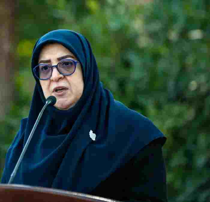 مهاجرانی:  ایران موضوع خسارت ناشی از حمله به نیروگاه بوشهر را با آژانس مطرح کرد