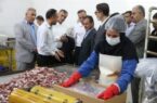 صدور 30 فقره جواز تأسیس صنعتی در شهرستان دشتستان