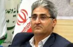 از دامداری تا مشاغل نو؛ برنامه بوشهر برای تقویت اقتصاد عشایر