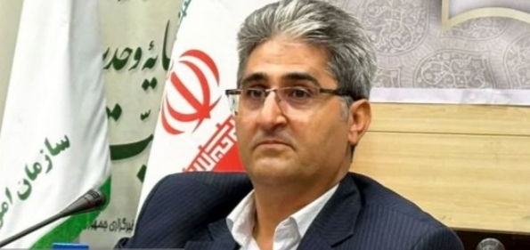 از دامداری تا مشاغل نو؛ برنامه بوشهر برای تقویت اقتصاد عشایر